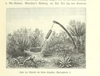An illustration from Von der Capstadt ins Land der Maschukulumbe. Reisen im südlichen Afrika in den Jahren 1883-1887 ... Mit 205 Original-Holzschnitten, etc (1890)