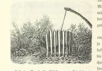 An illustration from Von der Capstadt ins Land der Maschukulumbe. Reisen im südlichen Afrika in den Jahren 1883-1887 ... Mit 205 Original-Holzschnitten, etc (1890)