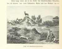 An illustration from Von der Capstadt ins Land der Maschukulumbe. Reisen im südlichen Afrika in den Jahren 1883-1887 ... Mit 205 Original-Holzschnitten, etc (1890)