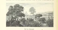 An illustration from Von der Capstadt ins Land der Maschukulumbe. Reisen im südlichen Afrika in den Jahren 1883-1887 ... Mit 205 Original-Holzschnitten, etc (1890)