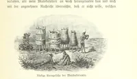 An illustration from Von der Capstadt ins Land der Maschukulumbe. Reisen im südlichen Afrika in den Jahren 1883-1887 ... Mit 205 Original-Holzschnitten, etc (1890)