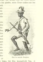 An illustration from Von der Capstadt ins Land der Maschukulumbe. Reisen im südlichen Afrika in den Jahren 1883-1887 ... Mit 205 Original-Holzschnitten, etc (1890)