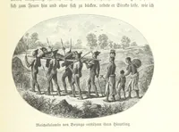 An illustration from Von der Capstadt ins Land der Maschukulumbe. Reisen im südlichen Afrika in den Jahren 1883-1887 ... Mit 205 Original-Holzschnitten, etc (1890)