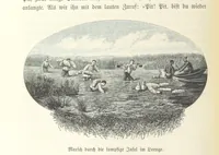 An illustration from Von der Capstadt ins Land der Maschukulumbe. Reisen im südlichen Afrika in den Jahren 1883-1887 ... Mit 205 Original-Holzschnitten, etc (1890)