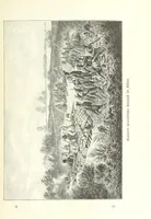 An illustration from Von der Capstadt ins Land der Maschukulumbe. Reisen im südlichen Afrika in den Jahren 1883-1887 ... Mit 205 Original-Holzschnitten, etc (1890)