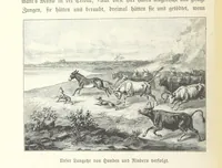 An illustration from Von der Capstadt ins Land der Maschukulumbe. Reisen im südlichen Afrika in den Jahren 1883-1887 ... Mit 205 Original-Holzschnitten, etc (1890)