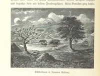 Picture 168 of 209 from Von der Capstadt ins Land der Maschukulumbe. Reisen im südlichen Afrika in den Jahren 1883-1887 ... Mit 205 Original-Holzschnitten, etc (1890), leaf 902