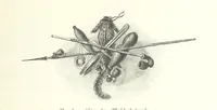 An illustration from Von der Capstadt ins Land der Maschukulumbe. Reisen im südlichen Afrika in den Jahren 1883-1887 ... Mit 205 Original-Holzschnitten, etc (1890)