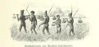 An illustration from Von der Capstadt ins Land der Maschukulumbe. Reisen im südlichen Afrika in den Jahren 1883-1887 ... Mit 205 Original-Holzschnitten, etc (1890)