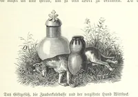 Picture 173 of 209 from Von der Capstadt ins Land der Maschukulumbe. Reisen im südlichen Afrika in den Jahren 1883-1887 ... Mit 205 Original-Holzschnitten, etc (1890), leaf 913
