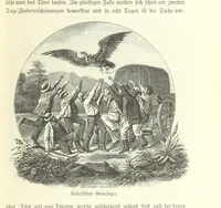 An illustration from Von der Capstadt ins Land der Maschukulumbe. Reisen im südlichen Afrika in den Jahren 1883-1887 ... Mit 205 Original-Holzschnitten, etc (1890)