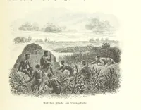 An illustration from Von der Capstadt ins Land der Maschukulumbe. Reisen im südlichen Afrika in den Jahren 1883-1887 ... Mit 205 Original-Holzschnitten, etc (1890)