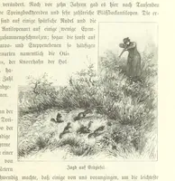 An illustration from Von der Capstadt ins Land der Maschukulumbe. Reisen im südlichen Afrika in den Jahren 1883-1887 ... Mit 205 Original-Holzschnitten, etc (1890)