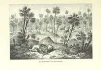 An illustration from Von der Capstadt ins Land der Maschukulumbe. Reisen im südlichen Afrika in den Jahren 1883-1887 ... Mit 205 Original-Holzschnitten, etc (1890)