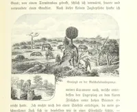An illustration from Von der Capstadt ins Land der Maschukulumbe. Reisen im südlichen Afrika in den Jahren 1883-1887 ... Mit 205 Original-Holzschnitten, etc (1890)