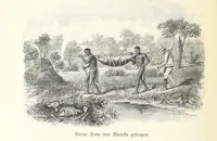 Picture 191 of 209 from Von der Capstadt ins Land der Maschukulumbe. Reisen im südlichen Afrika in den Jahren 1883-1887 ... Mit 205 Original-Holzschnitten, etc (1890), leaf 998