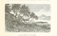 An illustration from A Fokvárostól a Masukulumbék országába, 1883-1887 ... Jogosított kiadás, ... 160 ... fametszettel és 2 térképpel (1890)