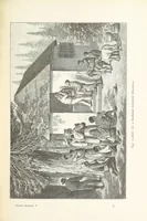 An illustration from A Fokvárostól a Masukulumbék országába, 1883-1887 ... Jogosított kiadás, ... 160 ... fametszettel és 2 térképpel (1890)