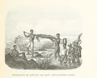 An illustration from A Fokvárostól a Masukulumbék országába, 1883-1887 ... Jogosított kiadás, ... 160 ... fametszettel és 2 térképpel (1890)