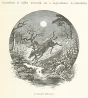 An illustration from A Fokvárostól a Masukulumbék országába, 1883-1887 ... Jogosított kiadás, ... 160 ... fametszettel és 2 térképpel (1890)