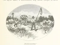 An illustration from A Fokvárostól a Masukulumbék országába, 1883-1887 ... Jogosított kiadás, ... 160 ... fametszettel és 2 térképpel (1890)