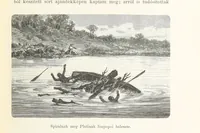 An illustration from A Fokvárostól a Masukulumbék országába, 1883-1887 ... Jogosított kiadás, ... 160 ... fametszettel és 2 térképpel (1890)