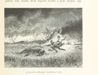 An illustration from A Fokvárostól a Masukulumbék országába, 1883-1887 ... Jogosított kiadás, ... 160 ... fametszettel és 2 térképpel (1890)