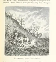 An illustration from A Fokvárostól a Masukulumbék országába, 1883-1887 ... Jogosított kiadás, ... 160 ... fametszettel és 2 térképpel (1890)