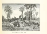 An illustration from A Fokvárostól a Masukulumbék országába, 1883-1887 ... Jogosított kiadás, ... 160 ... fametszettel és 2 térképpel (1890)
