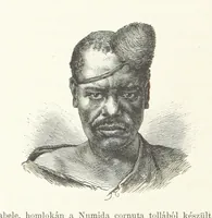 An illustration from A Fokvárostól a Masukulumbék országába, 1883-1887 ... Jogosított kiadás, ... 160 ... fametszettel és 2 térképpel (1890)