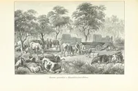 An illustration from A Fokvárostól a Masukulumbék országába, 1883-1887 ... Jogosított kiadás, ... 160 ... fametszettel és 2 térképpel (1890)