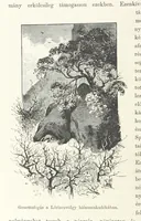 An illustration from A Fokvárostól a Masukulumbék országába, 1883-1887 ... Jogosított kiadás, ... 160 ... fametszettel és 2 térképpel (1890)