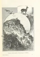 An illustration from A Fokvárostól a Masukulumbék országába, 1883-1887 ... Jogosított kiadás, ... 160 ... fametszettel és 2 térképpel (1890)