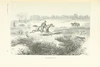 An illustration from A Fokvárostól a Masukulumbék országába, 1883-1887 ... Jogosított kiadás, ... 160 ... fametszettel és 2 térképpel (1890)