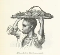 An illustration from A Fokvárostól a Masukulumbék országába, 1883-1887 ... Jogosított kiadás, ... 160 ... fametszettel és 2 térképpel (1890)