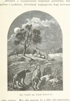 An illustration from A Fokvárostól a Masukulumbék országába, 1883-1887 ... Jogosított kiadás, ... 160 ... fametszettel és 2 térképpel (1890)
