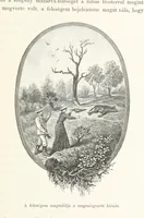 An illustration from A Fokvárostól a Masukulumbék országába, 1883-1887 ... Jogosított kiadás, ... 160 ... fametszettel és 2 térképpel (1890)