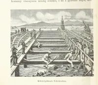 An illustration from A Fokvárostól a Masukulumbék országába, 1883-1887 ... Jogosított kiadás, ... 160 ... fametszettel és 2 térképpel (1890)