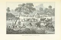 An illustration from A Fokvárostól a Masukulumbék országába, 1883-1887 ... Jogosított kiadás, ... 160 ... fametszettel és 2 térképpel (1890)