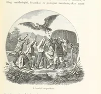 An illustration from A Fokvárostól a Masukulumbék országába, 1883-1887 ... Jogosított kiadás, ... 160 ... fametszettel és 2 térképpel (1890)