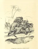 An illustration from Aventures les plus curieuses des voyageurs. Coup d'œil autour du monde, d'après les relations anciennes et modernes ... par M. Hombron. Ouvrage imité des Aventures des voyageurs par P. Blanchard (1847)