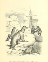 An illustration from Aventures les plus curieuses des voyageurs. Coup d'œil autour du monde, d'après les relations anciennes et modernes ... par M. Hombron. Ouvrage imité des Aventures des voyageurs par P. Blanchard (1847)