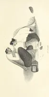 Picture 17 of 54 from Thirty-five years in the East. Adventures, discoveries, experiments, and historical sketches, relating to the Punjab and Cashmere (1852), leaf 215