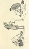 Picture 19 of 54 from Thirty-five years in the East. Adventures, discoveries, experiments, and historical sketches, relating to the Punjab and Cashmere (1852), leaf 223
