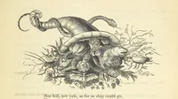 Picture 22 of 54 from Thirty-five years in the East. Adventures, discoveries, experiments, and historical sketches, relating to the Punjab and Cashmere (1852), leaf 519
