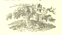 An illustration from Robin Hood; a collection of all the ancient poems, songs, and ballads now extant relative to that ... outlaw. To which are prefixed historical anecdotes of his life. [Edited by J. Ritson. With wood engravings by Thomas Bewick (1795)