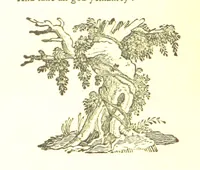 An illustration from Robin Hood; a collection of all the ancient poems, songs, and ballads now extant relative to that ... outlaw. To which are prefixed historical anecdotes of his life. [Edited by J. Ritson. With wood engravings by Thomas Bewick (1795)