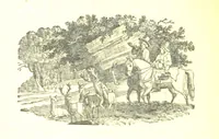 An illustration from Robin Hood; a collection of all the ancient poems, songs, and ballads now extant relative to that ... outlaw. To which are prefixed historical anecdotes of his life. [Edited by J. Ritson. With wood engravings by Thomas Bewick (1795)