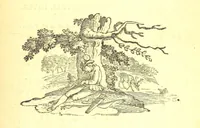 An illustration from Robin Hood; a collection of all the ancient poems, songs, and ballads now extant relative to that ... outlaw. To which are prefixed historical anecdotes of his life. [Edited by J. Ritson. With wood engravings by Thomas Bewick (1795)
