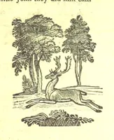 An illustration from Robin Hood; a collection of all the ancient poems, songs, and ballads now extant relative to that ... outlaw. To which are prefixed historical anecdotes of his life. [Edited by J. Ritson. With wood engravings by Thomas Bewick (1795)